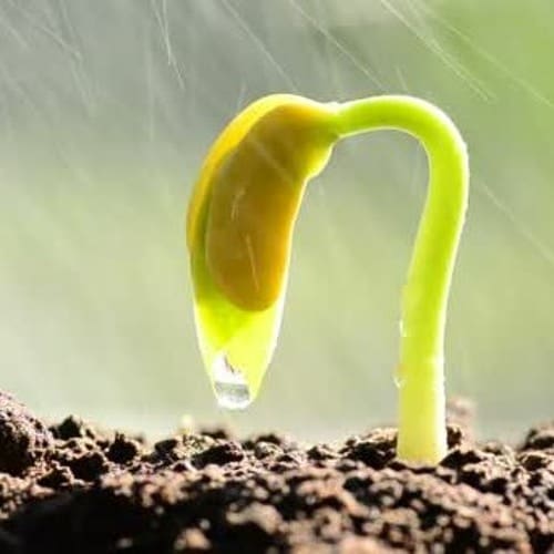 106 must the gospel sound good