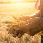 6 you reap what your sow