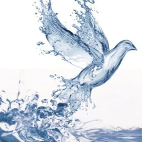 66 born of water and the spirit