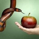 7 tempted beyond what you are able