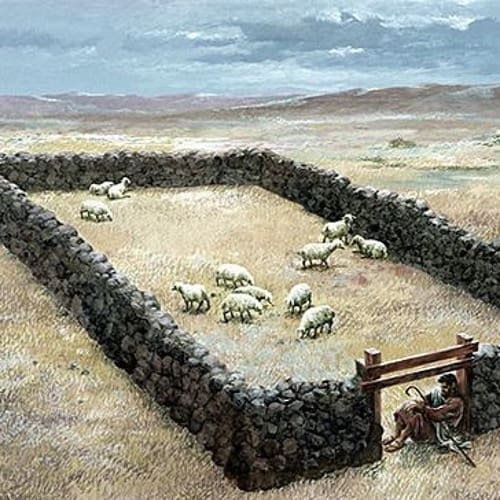 74 i am the door of the sheep