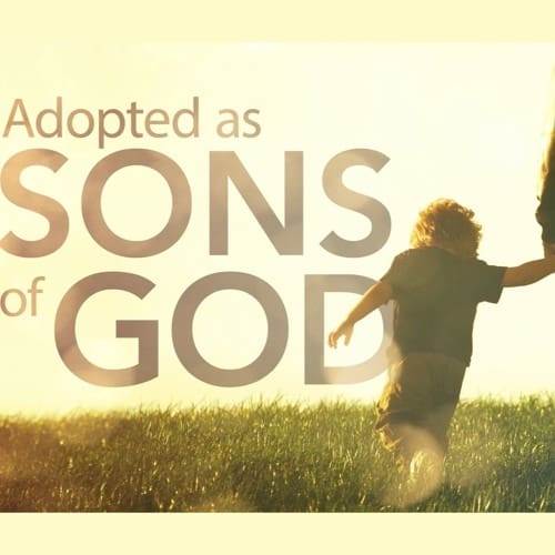 76 the adoption of sons