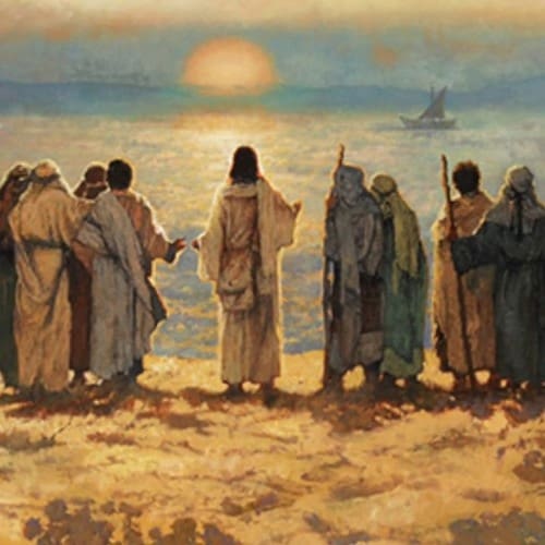 86 the first commission